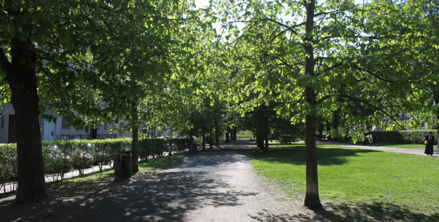 "puistonäkymä."
