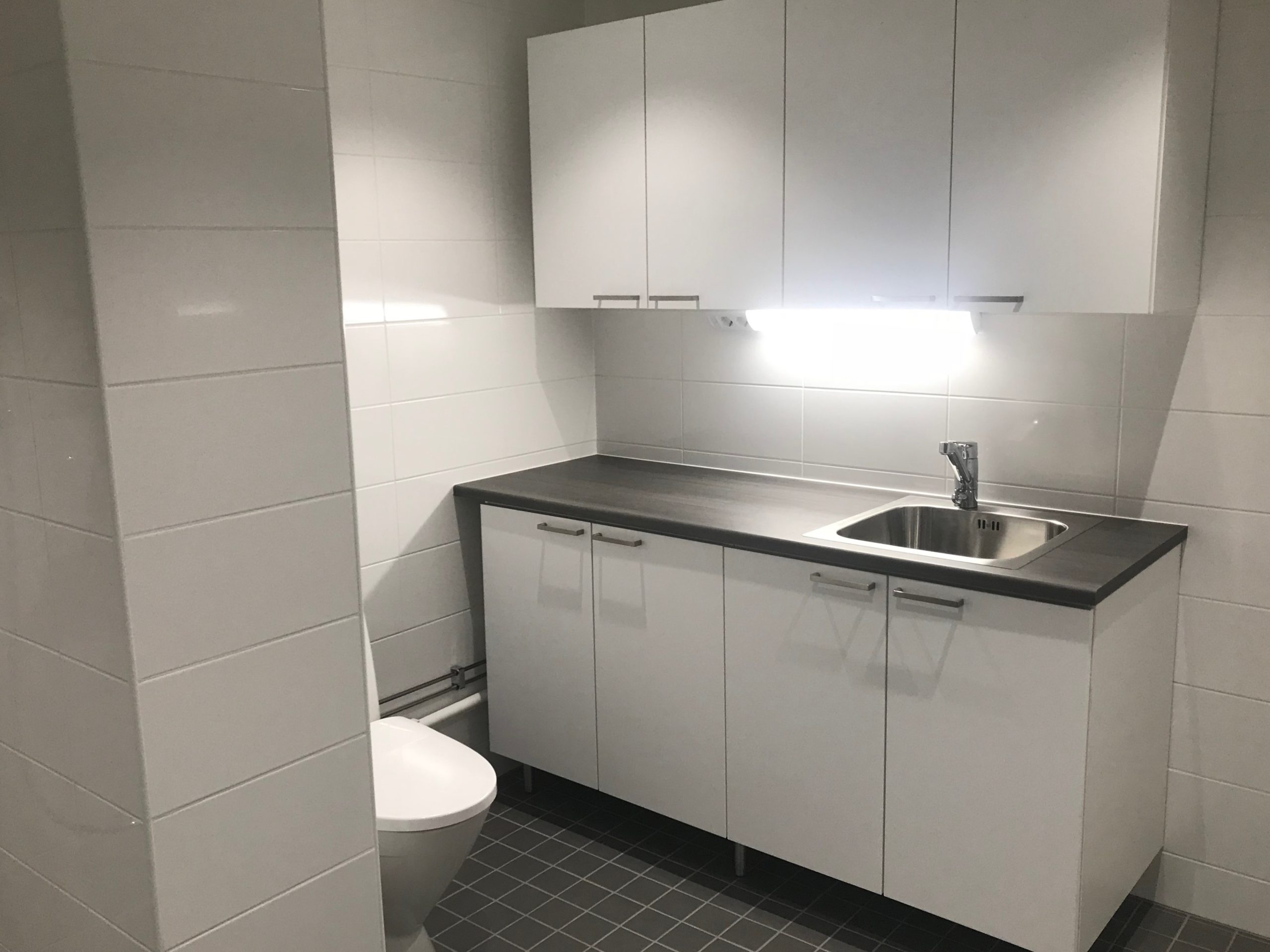 Kylpyhuoneessa kaappeja, lavuaari ja wc-istuin.