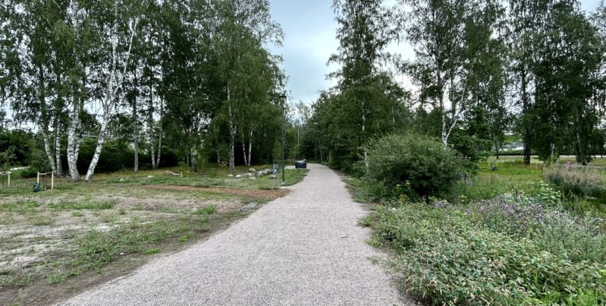Nuttukujan ympäristössä oleva hiekkainen luontopolku. Ympärillä on paljon kasvillisuutta, puita ja pensaita.